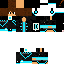 Texture for Steve