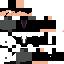 Texture for Pinguin 5
