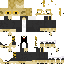 Texture for lizardtest