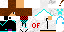 Texture for ds