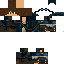 Texture for Leeezu