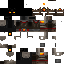Texture for Panamt3