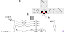 Texture for ada