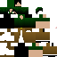 Texture for Xerilyn (mask)