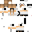 Texture for Cat Ninja
