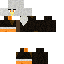 Texture for Hawk Hawk