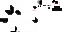 Texture for Rabbit