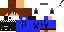 Texture for Sonic