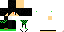 Texture for CTF Bush