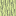 Texture for goldenLog
