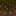 Texture for mycelium_side