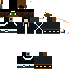 Texture for sifu