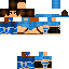Texture for Laryas
