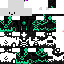Texture for Polar Robot