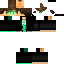 Texture for CuringaPlayer