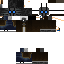 Texture for Sir Ryukuh