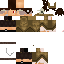 Texture for SrCipher