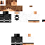 Texture for srvitor1234