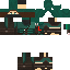 Texture for ninja