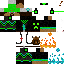 Texture for ds