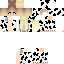 Texture for cbsuib\n