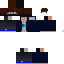 Texture for DreyFuS