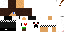 Texture for new new new new new steve