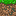 Texture for Grass_block