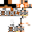 Texture for Ender_Doni