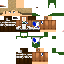 Texture for Erwin