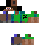 Texture for steve earth
