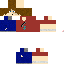 Texture for FALLOUT MiziMax