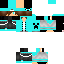 Texture for TS1010