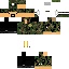 Texture for gnmox2020
