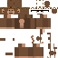 Texture for pgunit3421