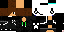 Texture for Dart
