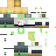Texture for Dr Furr Swap