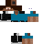 Texture for Steve195