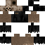 Texture for RUH