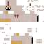 Texture for the game pollo