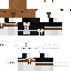 Texture for capybara