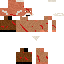 Texture for DG