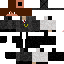 Texture for shelnb