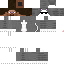 Texture for stevekitty
