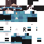 Texture for raxous