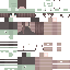Texture for ECH XANH