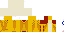 Texture for wip