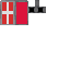 Texture for Shield (Texture2)
