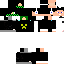 Texture for Flashman