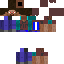 Texture for Steve con sueter